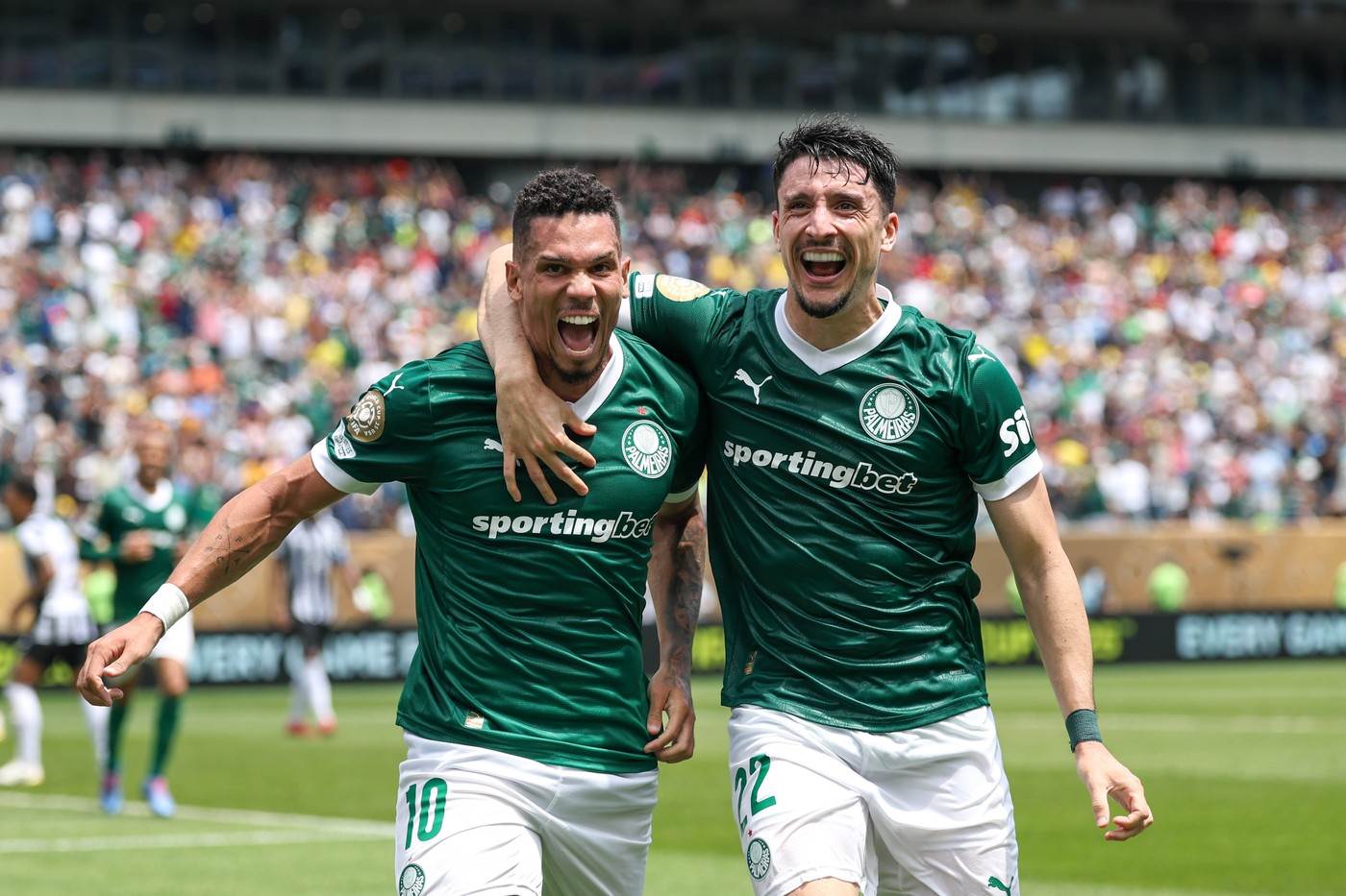 Palmeiras Palmeiras