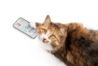  Pet Tech u Evropi: Pametne ogrlice, kamere i aplikacije za kućne ljubimce 